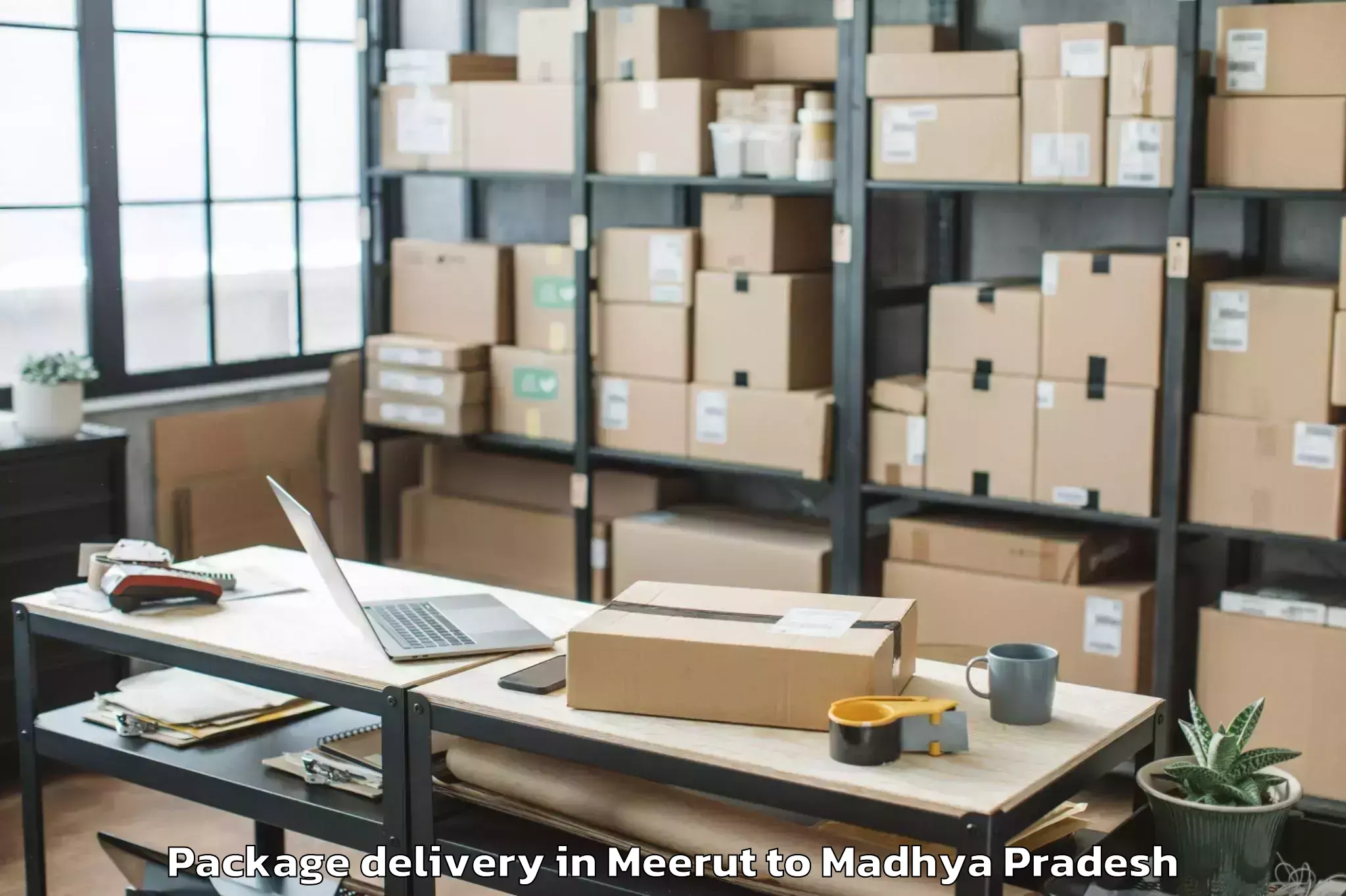 Reliable Meerut to Khajuraho Airport Hjr Package Delivery